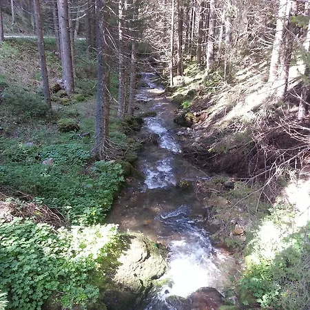 малина Pamporovo