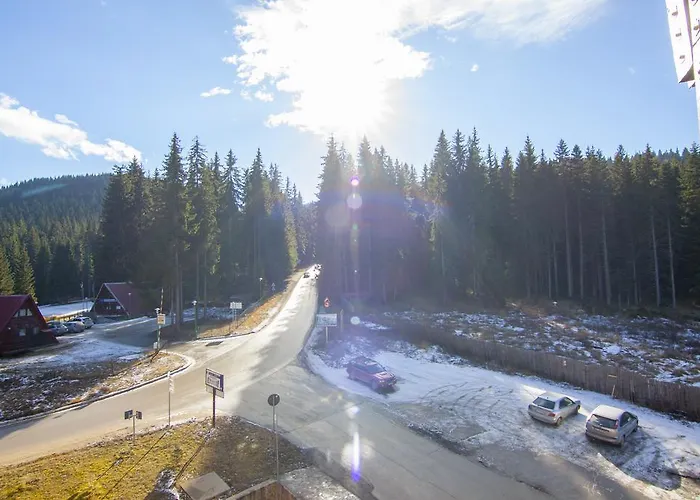 малина Pamporovo